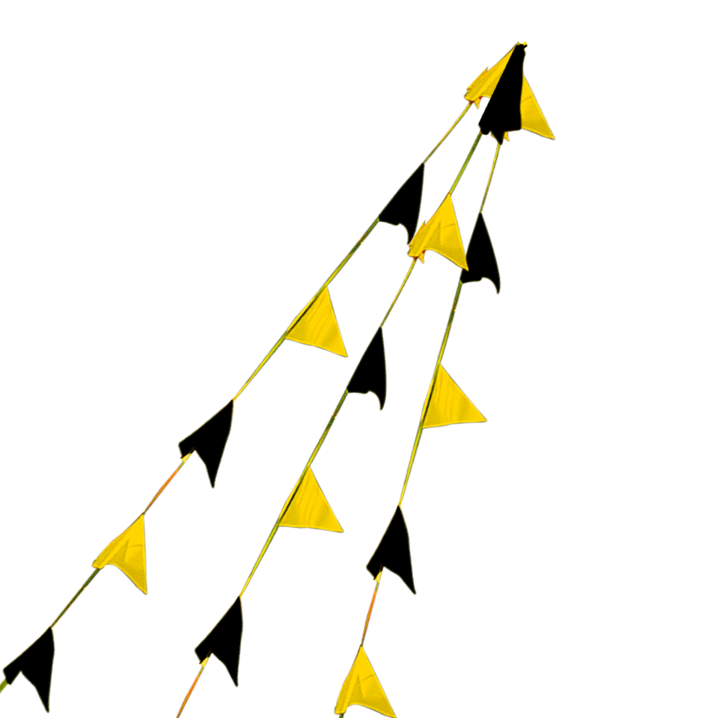 Kit of 12 - 100' Black & Yellow Pennant Strands